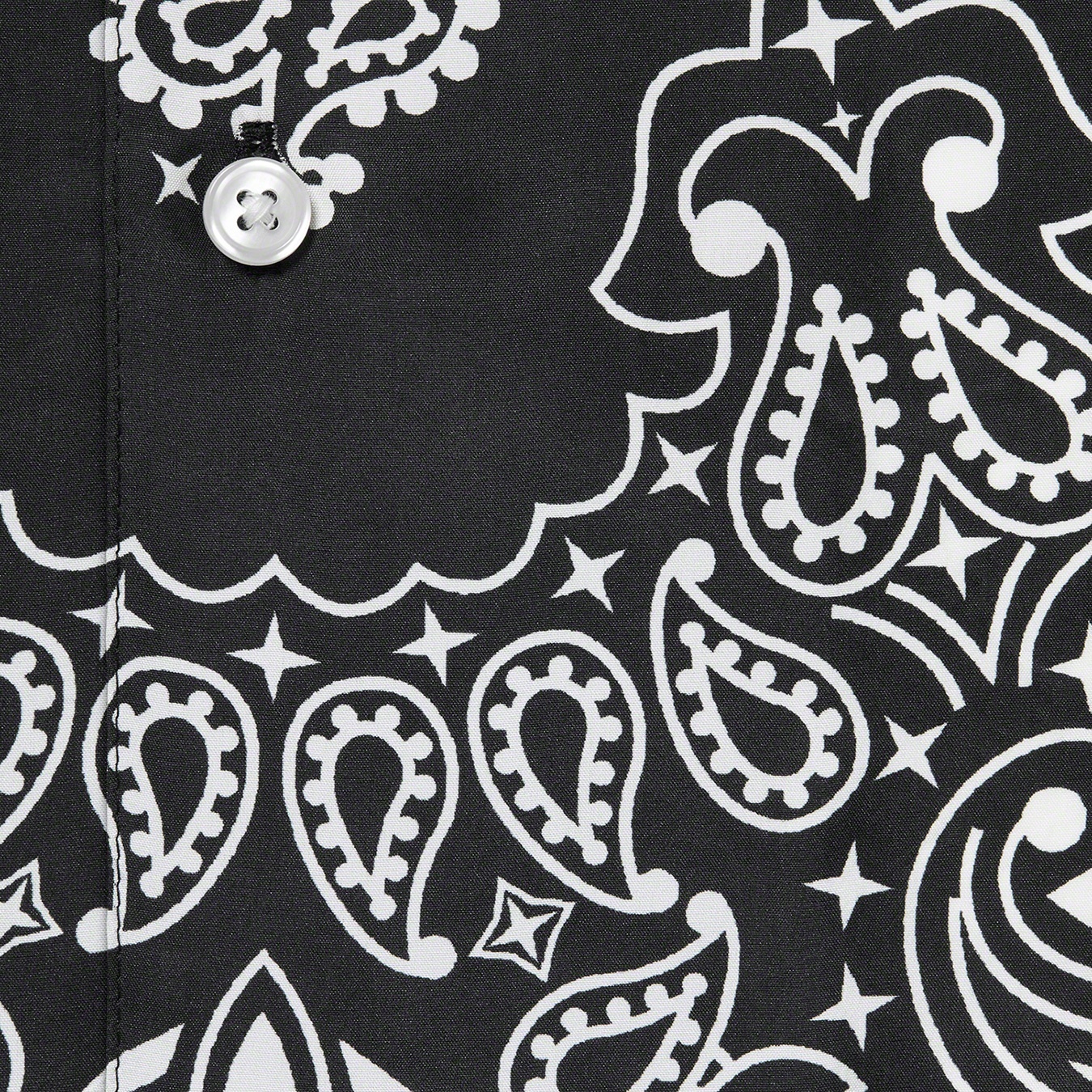 Bandana Silk S/S Shirt view 9